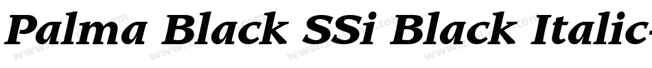 Palma Black SSi Black Italic字体转换